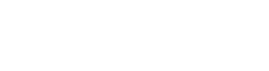 DIMENSION FEEL THE VISION